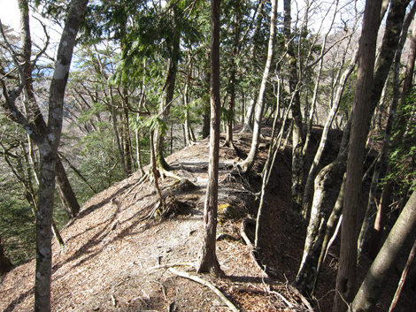 20200110hike (113)